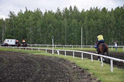 В Нурлате главный приз конноспортивных соревнований завоевал Радимир Кириллов из Чувашской Менчи