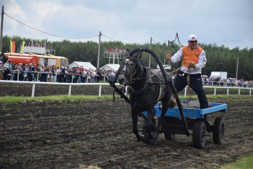 В Нурлате главный приз конноспортивных соревнований завоевал Радимир Кириллов из Чувашской Менчи