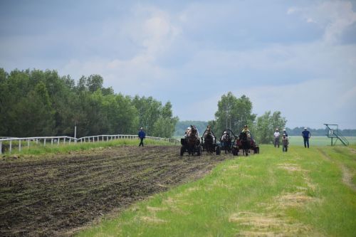 В Нурлате главный приз конноспортивных соревнований завоевал Радимир Кириллов из Чувашской Менчи