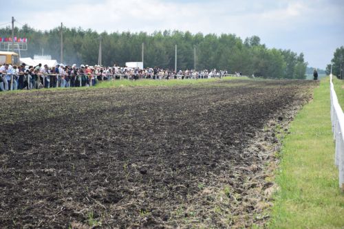 В Нурлате главный приз конноспортивных соревнований завоевал Радимир Кириллов из Чувашской Менчи
