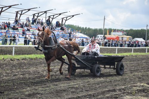В Нурлате главный приз конноспортивных соревнований завоевал Радимир Кириллов из Чувашской Менчи