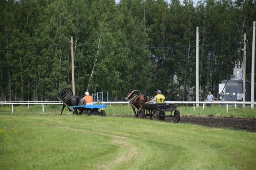 В Нурлате главный приз конноспортивных соревнований завоевал Радимир Кириллов из Чувашской Менчи