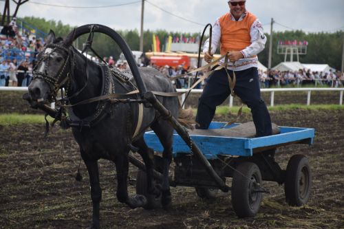 В Нурлате главный приз конноспортивных соревнований завоевал Радимир Кириллов из Чувашской Менчи