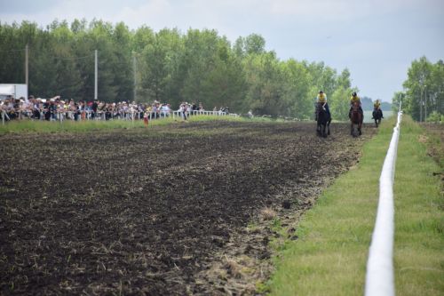 В Нурлате главный приз конноспортивных соревнований завоевал Радимир Кириллов из Чувашской Менчи