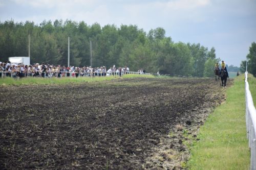 В Нурлате главный приз конноспортивных соревнований завоевал Радимир Кириллов из Чувашской Менчи