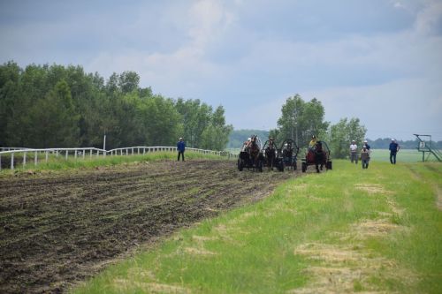 В Нурлате главный приз конноспортивных соревнований завоевал Радимир Кириллов из Чувашской Менчи