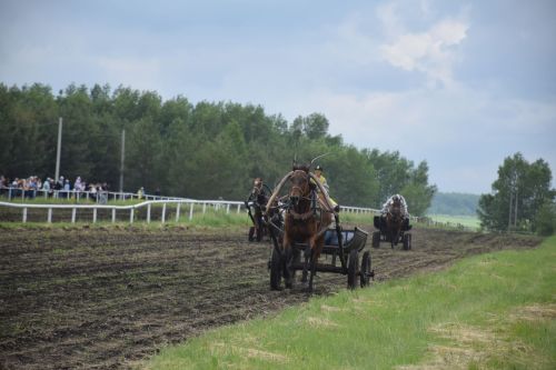 В Нурлате главный приз конноспортивных соревнований завоевал Радимир Кириллов из Чувашской Менчи