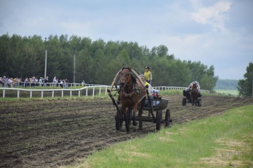 В Нурлате главный приз конноспортивных соревнований завоевал Радимир Кириллов из Чувашской Менчи