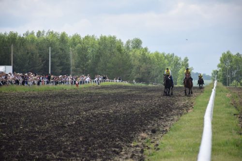 В Нурлате главный приз конноспортивных соревнований завоевал Радимир Кириллов из Чувашской Менчи