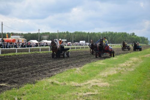 В Нурлате главный приз конноспортивных соревнований завоевал Радимир Кириллов из Чувашской Менчи