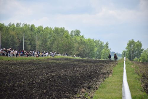 В Нурлате главный приз конноспортивных соревнований завоевал Радимир Кириллов из Чувашской Менчи