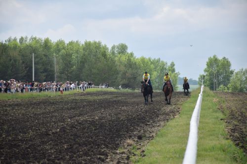 В Нурлате главный приз конноспортивных соревнований завоевал Радимир Кириллов из Чувашской Менчи