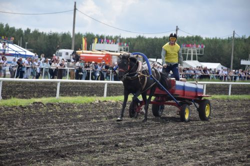 В Нурлате главный приз конноспортивных соревнований завоевал Радимир Кириллов из Чувашской Менчи