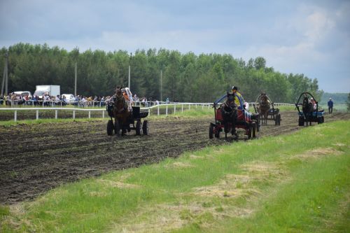 В Нурлате главный приз конноспортивных соревнований завоевал Радимир Кириллов из Чувашской Менчи