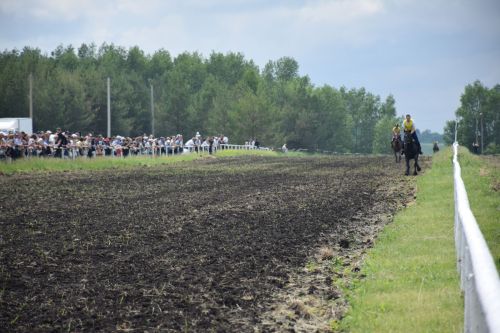 В Нурлате главный приз конноспортивных соревнований завоевал Радимир Кириллов из Чувашской Менчи