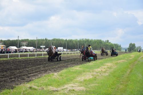 В Нурлате главный приз конноспортивных соревнований завоевал Радимир Кириллов из Чувашской Менчи