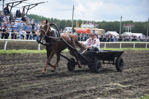 В Нурлате главный приз конноспортивных соревнований завоевал Радимир Кириллов из Чувашской Менчи