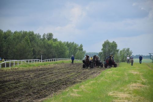 В Нурлате главный приз конноспортивных соревнований завоевал Радимир Кириллов из Чувашской Менчи