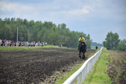В Нурлате главный приз конноспортивных соревнований завоевал Радимир Кириллов из Чувашской Менчи