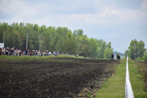 В Нурлате главный приз конноспортивных соревнований завоевал Радимир Кириллов из Чувашской Менчи