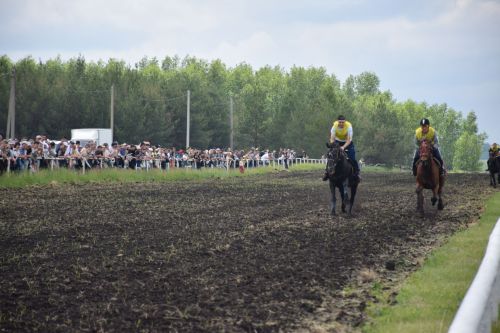 В Нурлате главный приз конноспортивных соревнований завоевал Радимир Кириллов из Чувашской Менчи