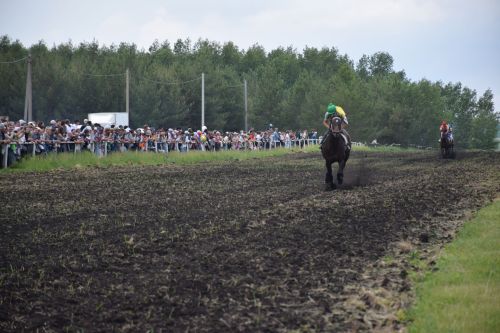 В Нурлате главный приз конноспортивных соревнований завоевал Радимир Кириллов из Чувашской Менчи