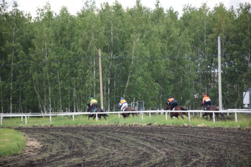 В Нурлате главный приз конноспортивных соревнований завоевал Радимир Кириллов из Чувашской Менчи