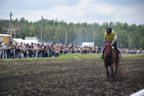 В Нурлате главный приз конноспортивных соревнований завоевал Радимир Кириллов из Чувашской Менчи