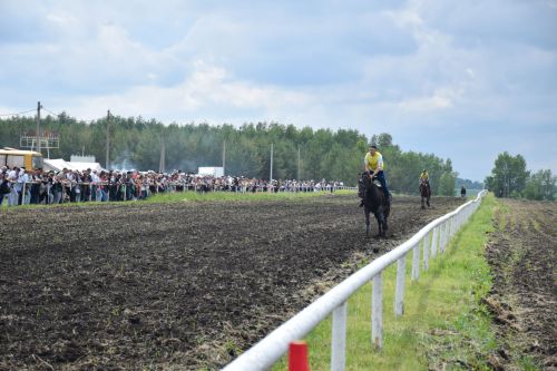 В Нурлате главный приз конноспортивных соревнований завоевал Радимир Кириллов из Чувашской Менчи