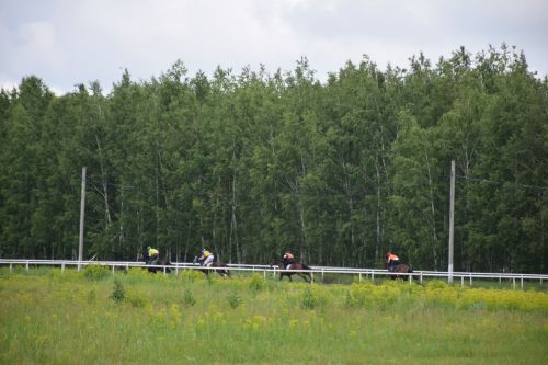 В Нурлате главный приз конноспортивных соревнований завоевал Радимир Кириллов из Чувашской Менчи