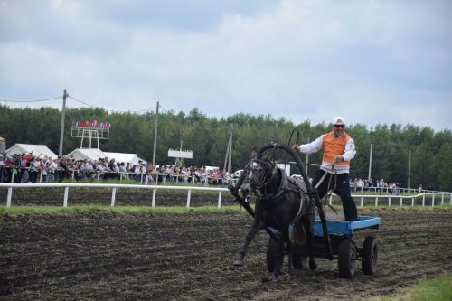 В Нурлате главный приз конноспортивных соревнований завоевал Радимир Кириллов из Чувашской Менчи