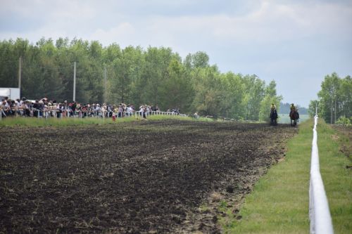 В Нурлате главный приз конноспортивных соревнований завоевал Радимир Кириллов из Чувашской Менчи