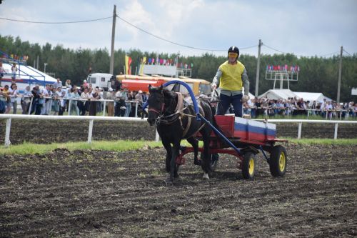 В Нурлате главный приз конноспортивных соревнований завоевал Радимир Кириллов из Чувашской Менчи