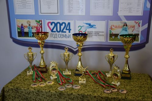 В Нурлате в Центре «Нур» прошли соревнования, посвященные ветеранам боевых действий