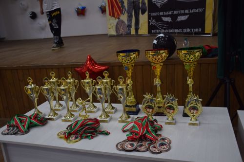 В Нурлате в Центре «Нур» прошли соревнования, посвященные ветеранам боевых действий