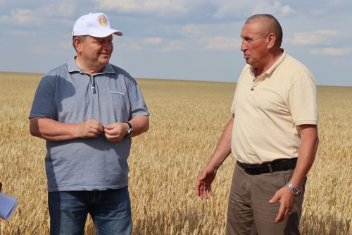 На полях «Нурлат-Агро» идет уборка озимой пшеницы