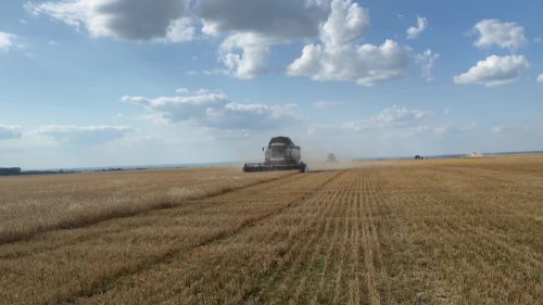 В Нурлате началась уборочная страда