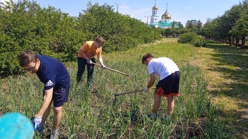 Нурлатские школьники получают первый трудовой опыт