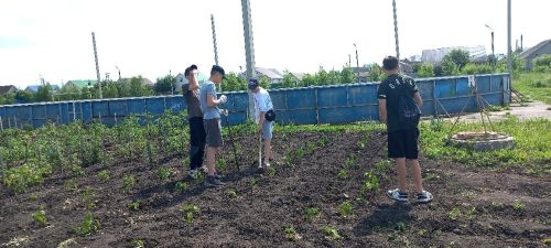 Нурлатские школьники получают первый трудовой опыт