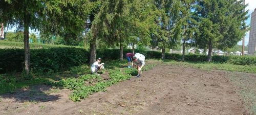 Нурлатские школьники получают первый трудовой опыт