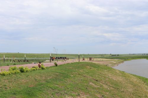Правила пожарной безопасности на отдыхе на природе
