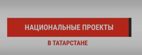 На финансирование программы «Агростартап» в Татарстане в 2024 году выделили 369 млн рублей