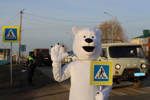 В Татарстане стартовала Неделя безопасности дорожного движения