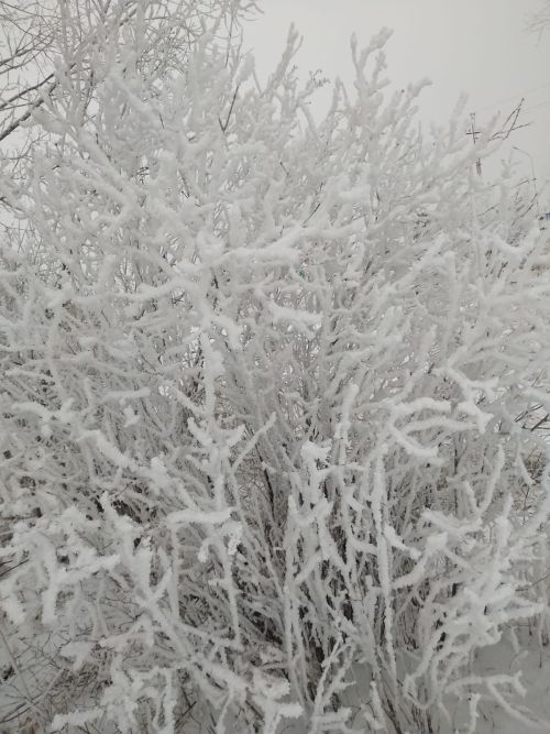 Мороз до -21˚ ожидается ночью в Нурлате