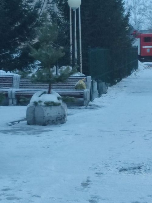 В Нурлате пожарные, полиция и «скорая» выехали по тревожному звонку
