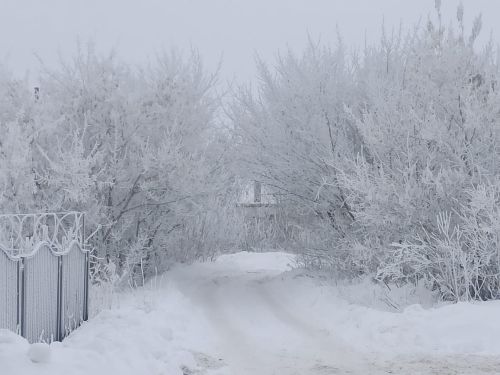 Нурлатцы по сегодняшним приметам погоды узнают каким будет урожай в этом году