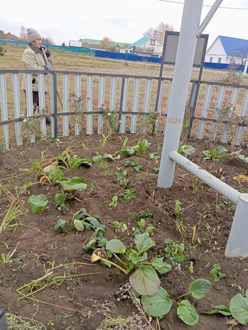 Память о героях расцветает: волонтёры Нурлата высадили цветы у «Журавлей»