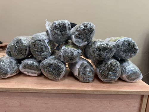 Нурлатские школьники передают маскировку и тепло защитникам Отечества