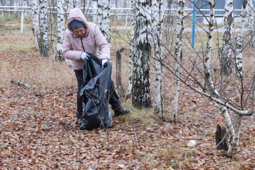 Волонтеры серебряного возраста отметили день рождения Центра активного долголетия и здоровья добрыми делами
