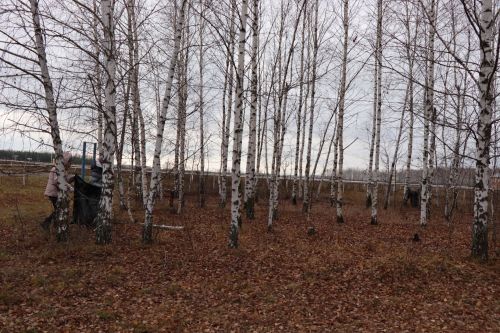 Волонтеры серебряного возраста отметили день рождения Центра активного долголетия и здоровья добрыми делами